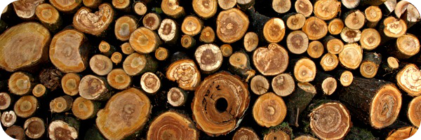 Holzstapel von RubberDragon at flickr