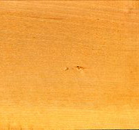 Holzhandlauf aus Birkenholz - Holzmuster